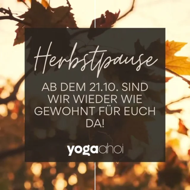 ✨ Hello Autumn ✨

Ihr Lieben,

yoga ahoi legt eine kleine Herbstpause ein. Vom 27. September bis zum 20. Oktober bleibt das Studio geschlossen. Diese Zeit nutze ich, um neue Energie zu tanken und das Kursangebot für euch zu optimieren.

Ich freue mich darauf, euch nach der Pause wieder in meinem Studio willkommen zu heißen und gemeinsam die Cozy Herbst/Winterzeit zu genießen. 

Es warten fantastische Kurse und Yoga-Events auf euch, also meldet euch gern bereits während der Herbstpause für eure Favorits an!

Events 👉 https://yogaahoi.com/retreats-events/

Kurse 👉 https://yogaahoi.com/kursplan/

Bleibt gesund und genießt die bunten Farben des Herbstes! 🍁🍂🍄‍🟫

Eure Nina 🧡

#yogastudio #yoga #herbstpause #herbstferien🍁 #autmn #fall #wietze #celle #heidekreis