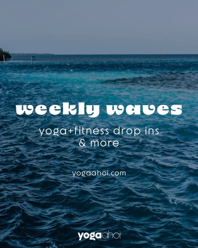 WEEKLY YOGA DROP-INS
 Gönn dir neue Energie, Entspannung und etwas Zeit nur für dich.
Lass uns gemeinsam fließen – hier findest du deine offenen Klassen für die kommende Woche bei yoga ahoi:

Mo, 28.04. | 17:00 FULL-BODY-WORKOUT (45 Min) – erwecke deine Power mit Robin

Mo, 28.04. | 18:15 YOGALATES (60 Min) – eine Reise zu deinem stärksten Ich mit Nina

Mo, 28.04. | 18:15 ONLINE: YOGALATES (60 Min) – eine Reise zu deinem stärksten Ich mit Nina

Mo, 28.04. | 19:30 VINYASA YOGA (75 Min) – kraftvoll & dynamisch mit Nina

Di, 29.04. | 09:00 FEELGOOD HATHA YOGA ( 75 Min) – dein Morning Boost mit Nina

Di, 29.04. | 17:00 AFTER WORK YOGA ( 45 Min) – dein Reset am Abend mit Nina

Di, 29.04. | 18:00 YIN YOGA ( 75 Min) – Sanfte Dehnung & tiefe Entspannung mit Nina

Di, 29.04. | 19:30 BAUCH BEINE PO ( 45 Min) – Deine Powerzone für mehr Selbstbewusstsein und Energie mit Laura

Mi, 30.04. | 17:00 FULL-BODY-WORKOUT (45 Min) – erwecke deine Power mit Robin

Mi, 30.04. | 18:00 FEELGOOD HATHA YOGA ( 75 Min) – Power & Good Vibes mit Nina

Mi, 30.04. | 19:30 VINYASA YOGA (75 Min) – kraftvoll & dynamisch mit Nina

Fr, 02.05. | 09:00 FEELGOOD HATHA YOGA (60 Min) – weich reinstarten mit Heike 

Fr, 02.05. | 10:15 PILATES (60 Min) – Energie für deine Mitte mit Heike

Let’s move, breathe & shine – see you on the mat!