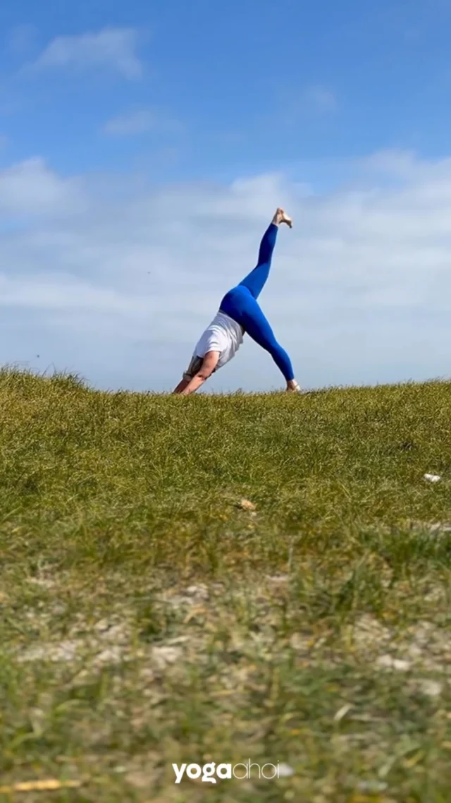 🌞 Surya Namaskar (Sonnengruß) mit Meeresrauschen – meine liebste Art, den Tag zu begrüßen.

Aktiviert den Körper, klärt den Kopf, und streichelt die Seele. 🥰

#Sonnengruß #YogaAmMeer #SuryaNamaskar #yogaanywhere #yogaaesthetic #yogagirls #beach #sea #meeresrauschen #balsamfürdieseele #natur #beachview #düne